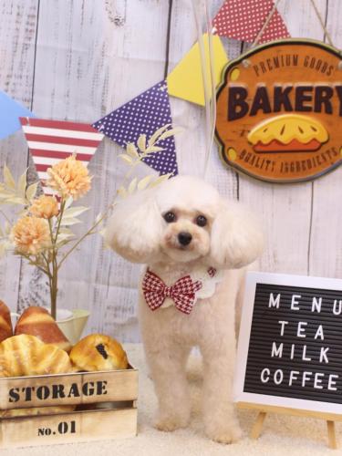 20240901リコちゃん